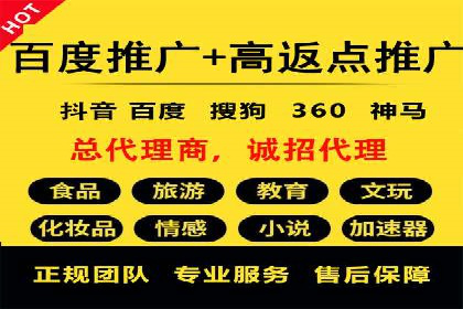百度竞价代理的客户案例：如何实现ROI最大化